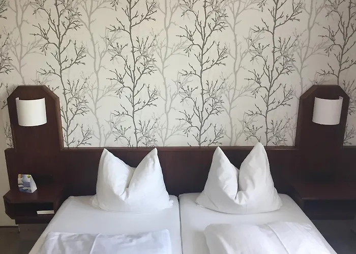 Hotel Hotel-restaurant Lowen Suessen